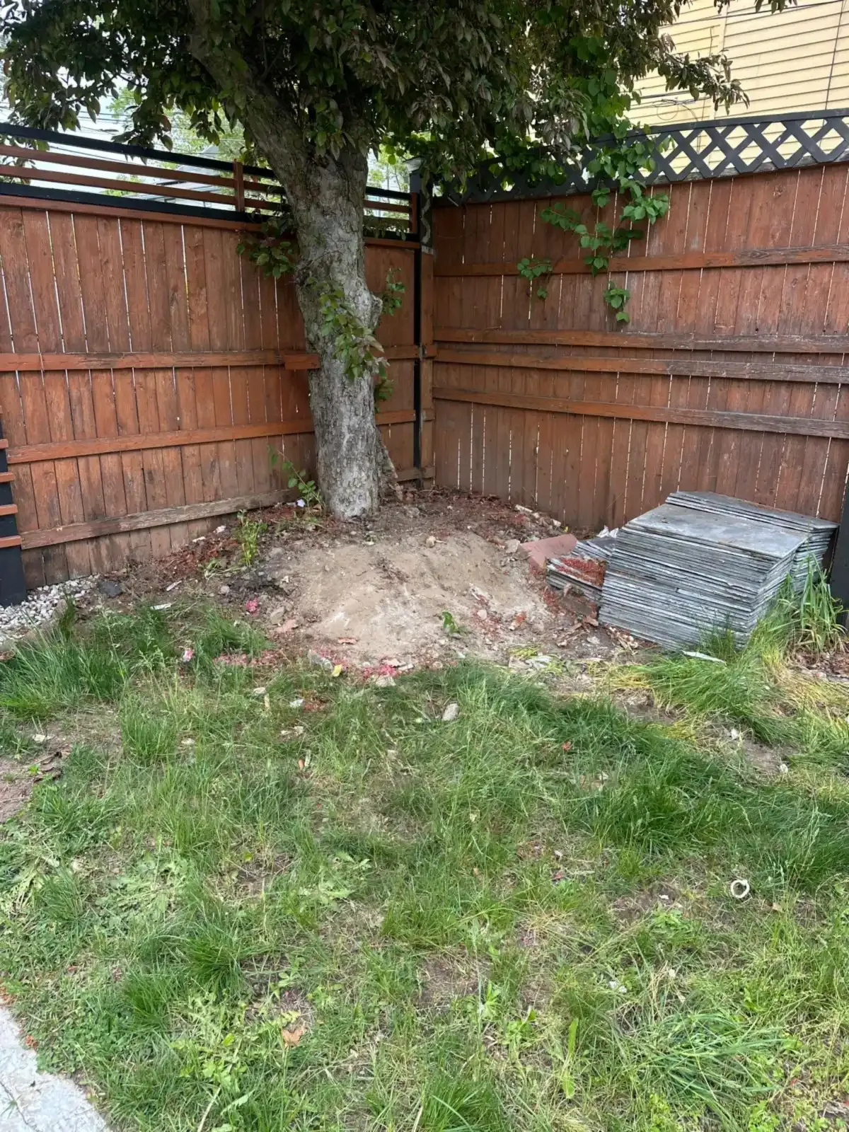 Backyard furniture removal after
