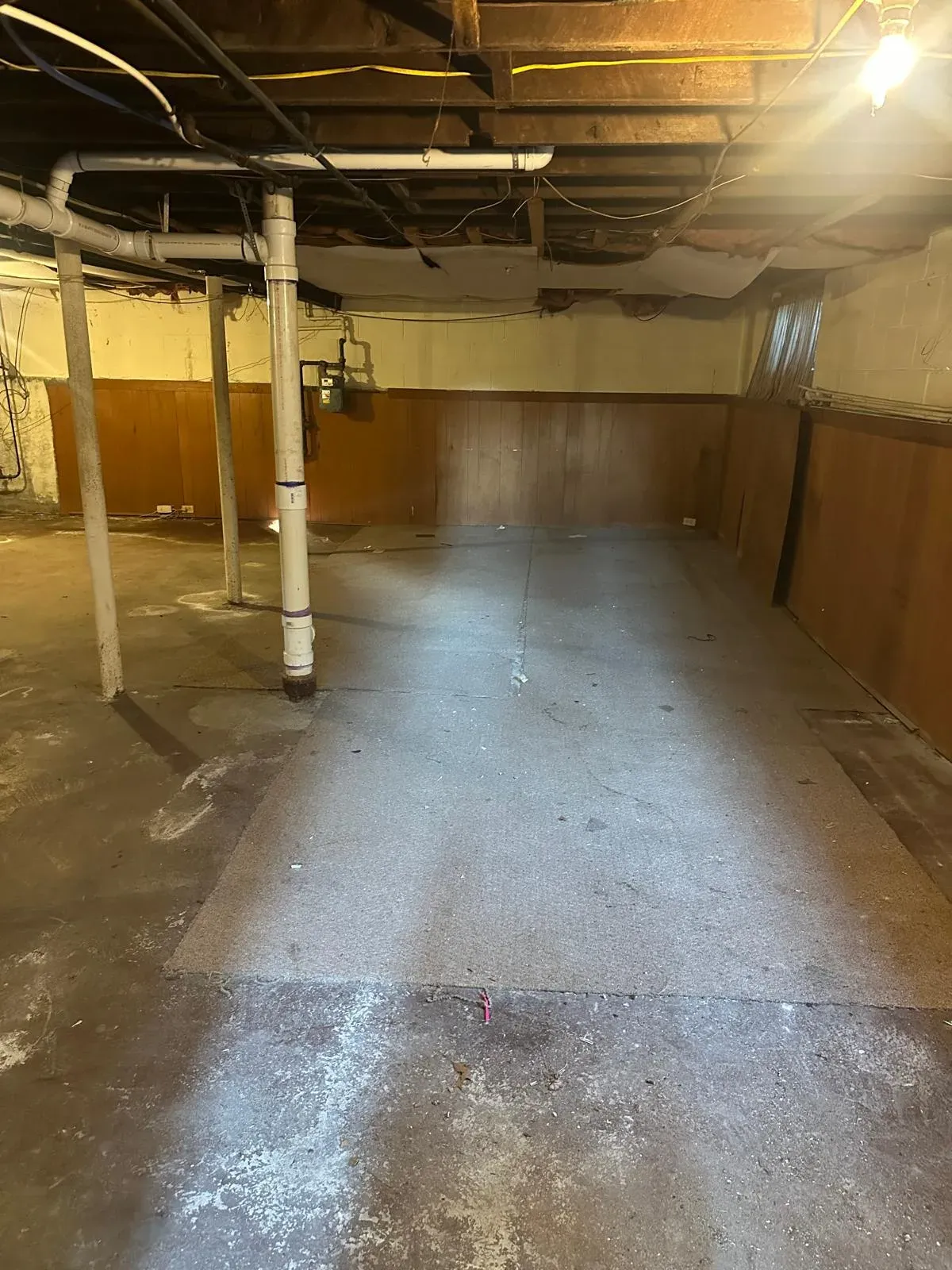 Basement cleanout after